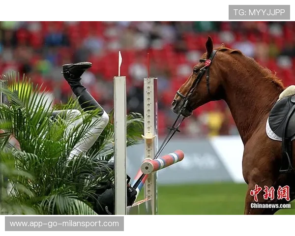 马术选手落马瞬间翻滚避险，惊险影像成热搜