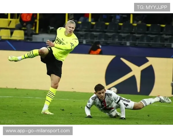 阿贾克斯盯哈兰德式中锋王：未来足球的璀璨星辰